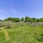 In Near Brijuni National Park *