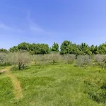 In Near Brijuni National Park *