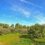 In Near Brijuni National Park Daire Valbandon