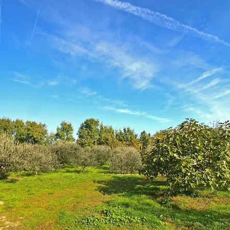 In Near Brijuni National Park