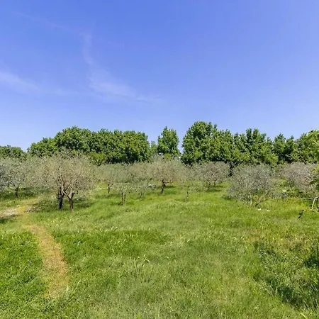 In Near Brijuni National Park *