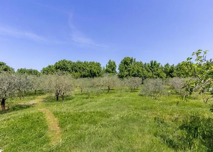 In Near Brijuni National Park *