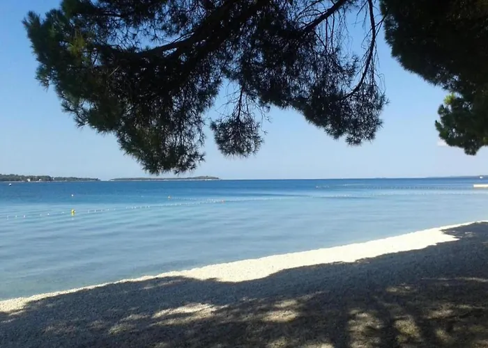 In Near Brijuni National Park *